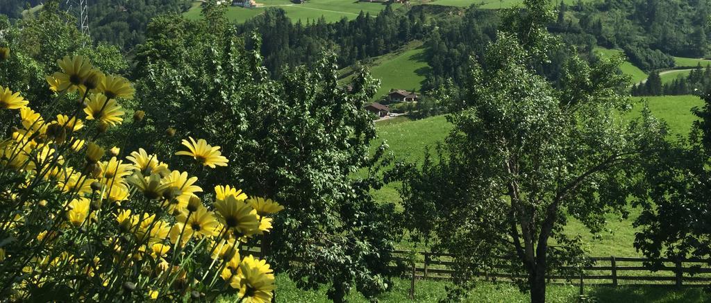 Haus Katharina Otel Wagrain Dış mekan fotoğraf