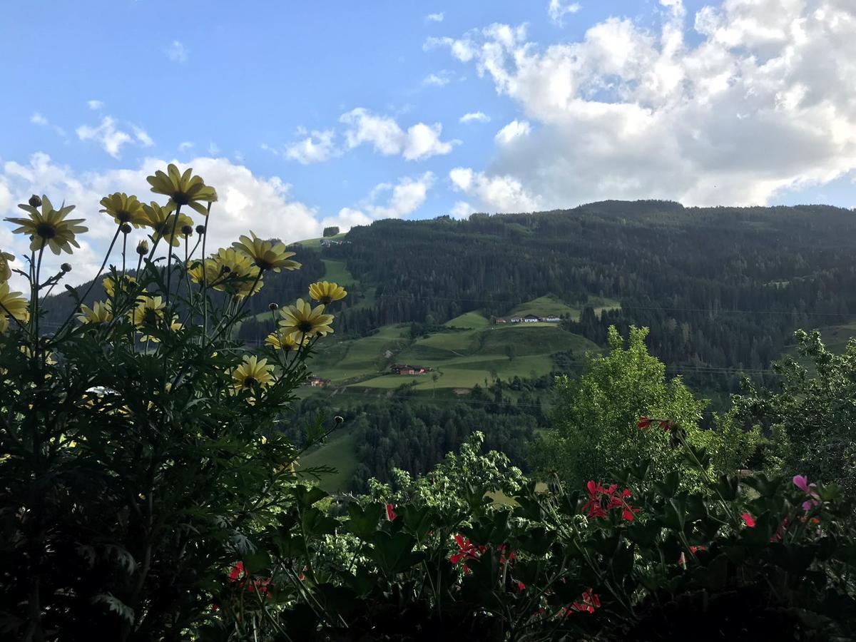 Haus Katharina Otel Wagrain Dış mekan fotoğraf