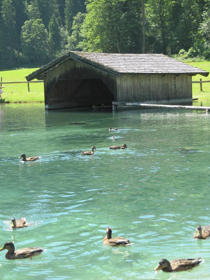 Haus Katharina Otel Wagrain Dış mekan fotoğraf
