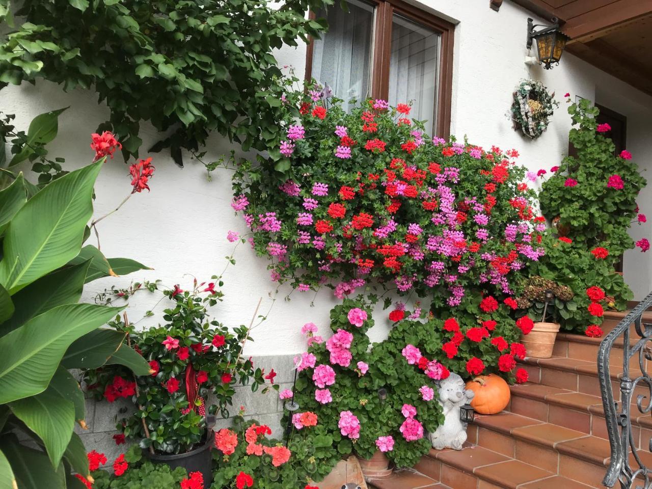 Haus Katharina Otel Wagrain Dış mekan fotoğraf